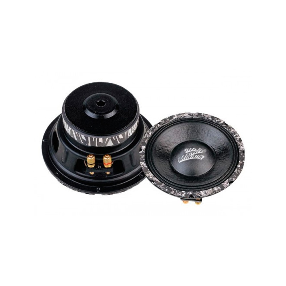 Bocina zebra 10" 425 watts 8 ohm