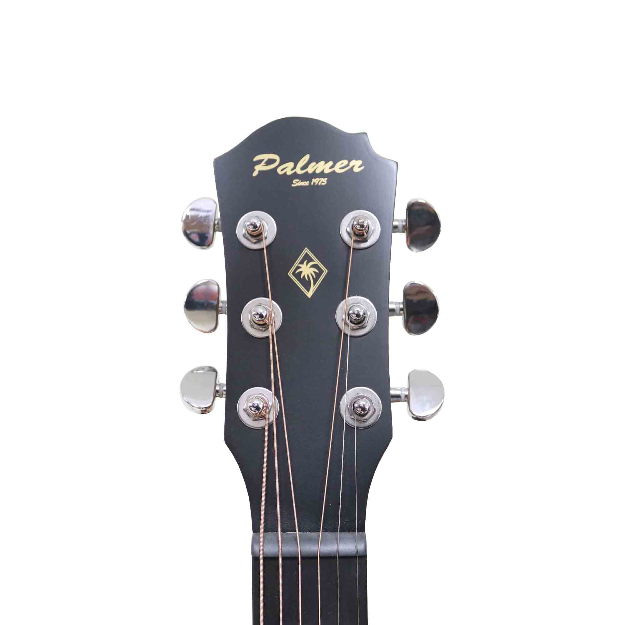 GUITARRA ACUST. 39\