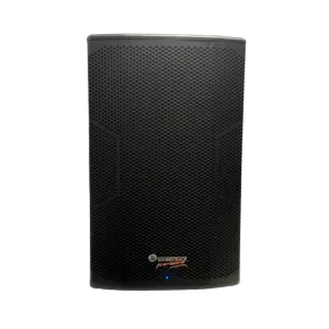 Bafle amplificado 15" c/ procesador digital Soundtrack